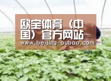 种植基地三